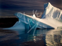 Twillingate, iceberg